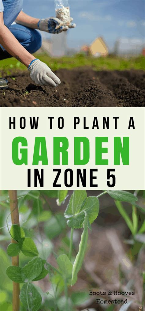 A travel guide to the gardens and garden tours of massachusetts. Garden Planning in Zone 5 | Gardening zones, When to plant ...