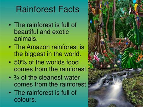 Ppt Rainforests Powerpoint Presentation Id6534454
