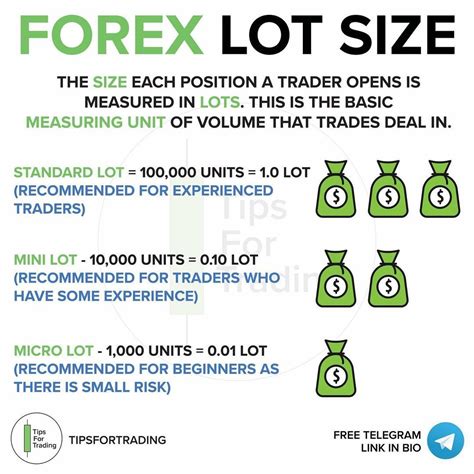Forex Lot Size In 2021 Forex Trading Forex Forex Trading Strategies