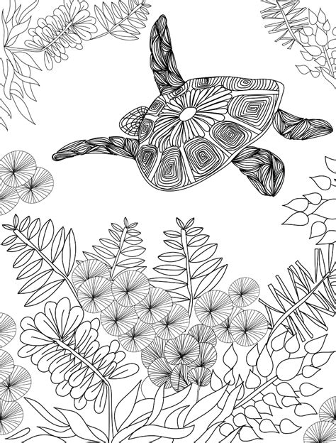 Turtle Coloring Pages For Adults Photos Cantik