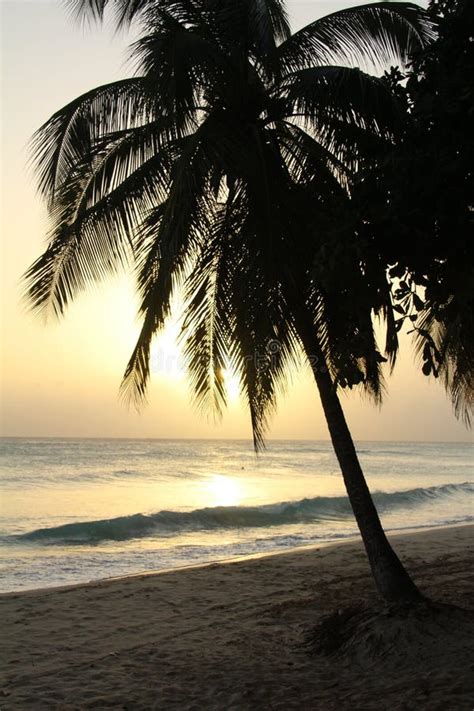 Barbados Sunset Stock Image Image Of Ocean Beach Shoreline 173168369