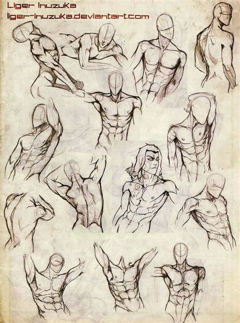 Наброски Male body drawing Guy drawing Anatomy sketches