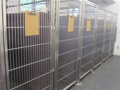 Maybe you would like to learn more about one of these? Compassionate Care Animal Hospital Brooklyn Park Home