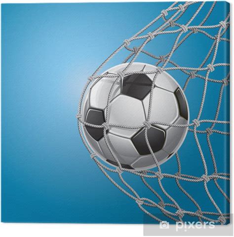 Soccer Goal A Soccer Ball In A Net Vector Illustration Canvas Print