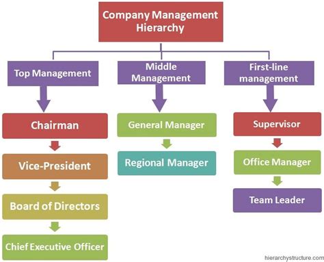 Company Management Hierarchy Business Management Management Best