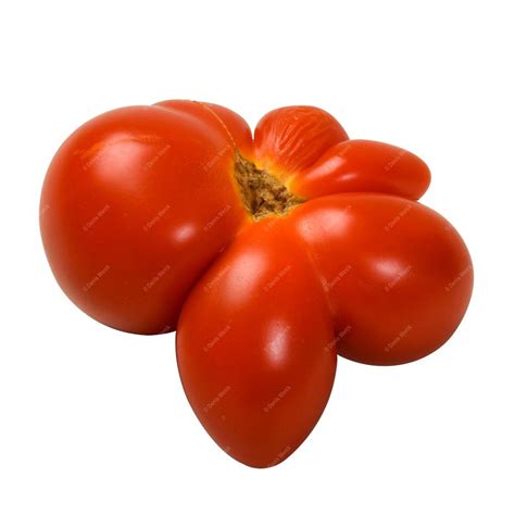 Tomate diforme détourée Denis MERCK Photographe professionnel en Alsace