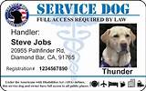 Printable Service Dog Id Cards Pictures