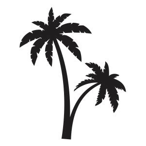 Clip Art Image Files Coconut Tree Svg Cut File For Cricut Tropical