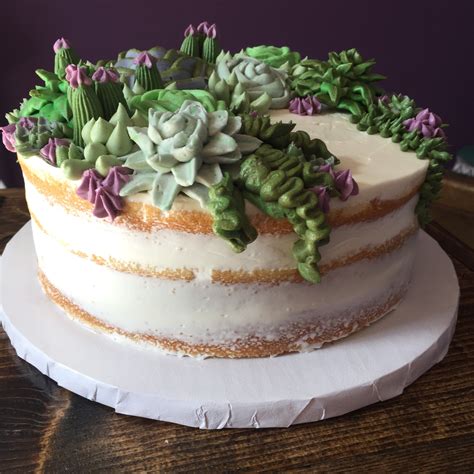 Succulent Cake Amuse Bake Shop