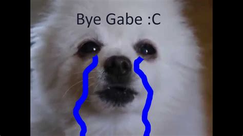 Gabe The Dog Died C Youtube