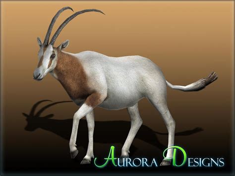 Scimitar Horned Oryx Aurora Designs Zt2 Download Library Wiki