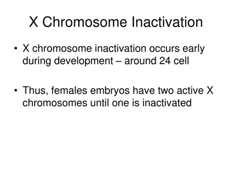 Ppt X Chromosome Inactivation Powerpoint Presentation Id3668670