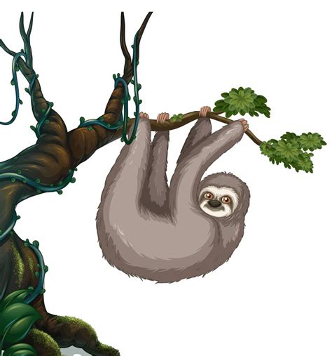 Sloth Hanging On The Tree 431820 Vector Art At Vecteezy