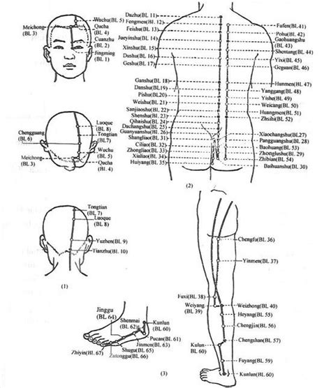 Acupuncture Points Urinary Bladder Meridian Channel Meridian