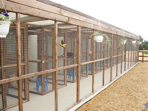 Cambria Farm Cattery Prices And Bookings