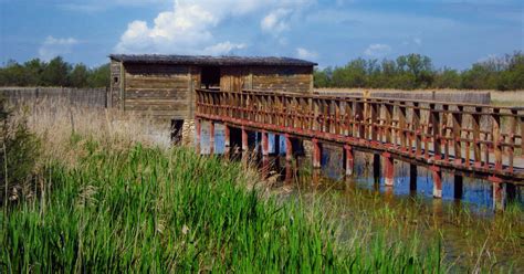 Parque Nacional Tablas De Daimiel Información Práctica Para Su Visita