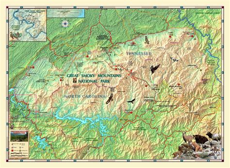 Smoky Mountain National Park Map Ubicaciondepersonascdmxgobmx