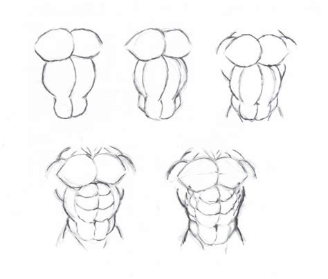 How To Draw Male Muscular Body Pin On Art Help Bodenewasurk