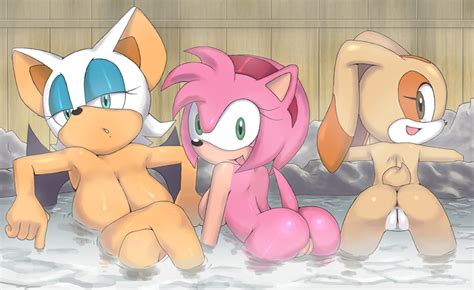 Rule34 If It Exists There Is Porn Of It Apostle Amy Rose Cream