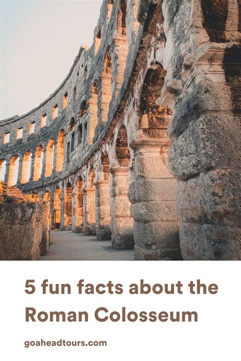 5 Fun Facts About The Colosseum Ef Go Ahead Tours