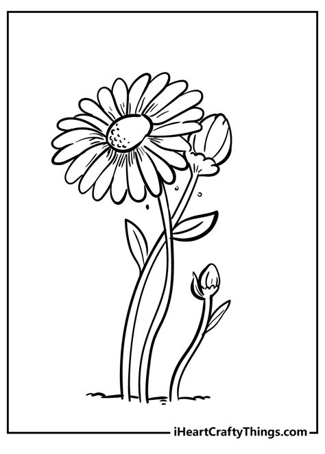 Printable Daisy Coloring Page Updated 2022 Coloring Home