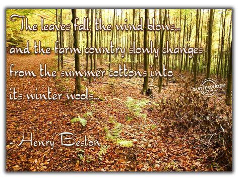 Fall Change Quotes Quotesgram