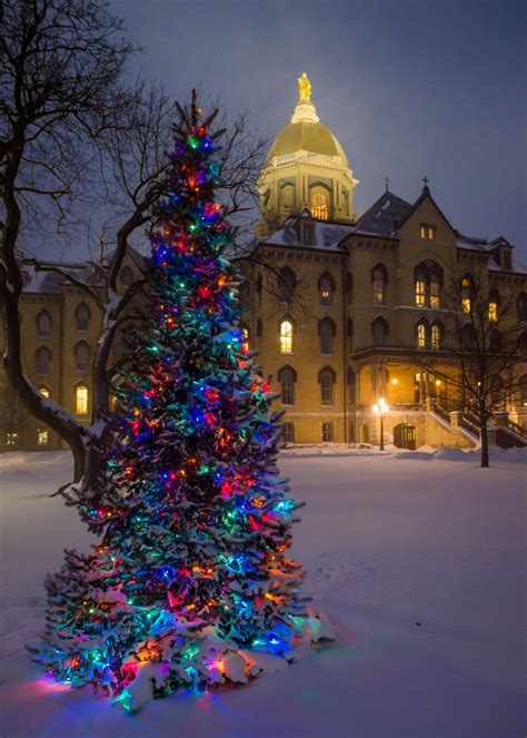 Pin By Al Romero On Notre Dame Campus Notre Dame Campus Holiday