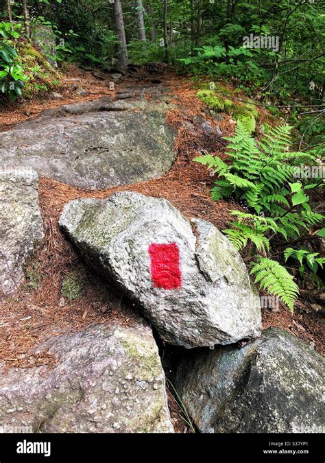 Trail Marking Blaze In Red To Show Hikers Where The Path Is Stock