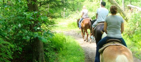 Group Horseback Rides Stables In Pa Mountain Laurel Riding Stables
