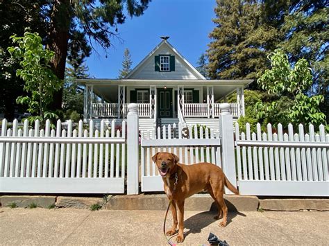 Belding Hepworth House Walkies Through History