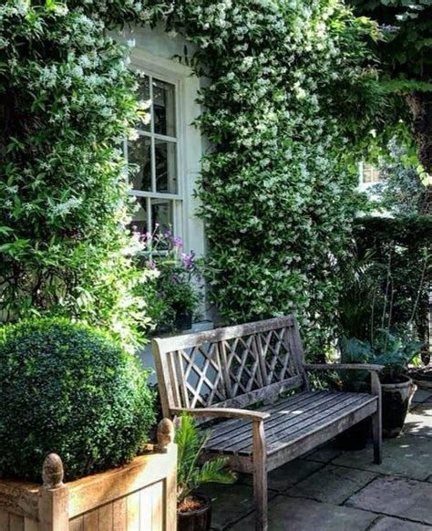 26 Flowering Vines For Shade Best Shade Loving Climbers