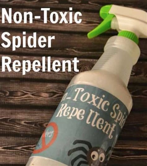 Spider Repellent Ideas That Really Work The Whoot Spiders Repellent