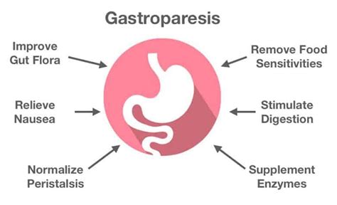 Gastroparesis Help In Guelph Guelph Naturopathic Medical Clinic
