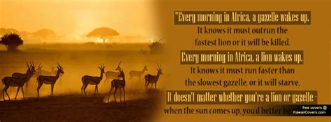 Every morning the gazelle wakes up knowing she must run faster than the lion or will be dead. Bernie's African Odyssey : IT DOESN'T MATTER IF YOU'RE A LION OR A GAZELLE