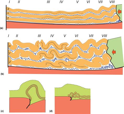 Foldthrust Structures Where Have All The Buckles Gone