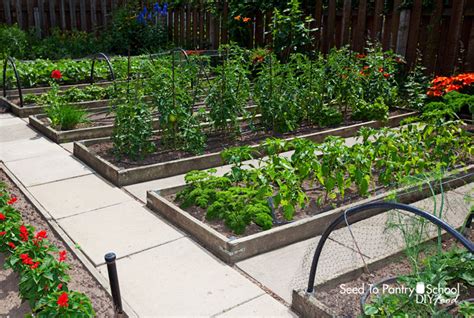 How To Build And Maintain Raised Beds Seed To Pantry School