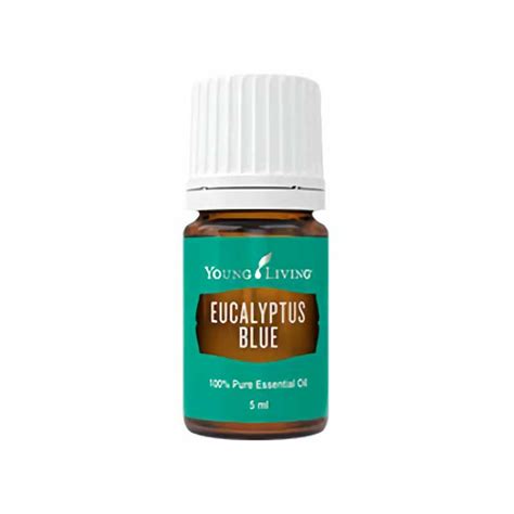 Jual Young Living Essential Oil Eucalyptus Blue 5ml Obat And Vitamin