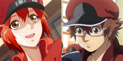 Cells At Work Drops Trailers For 2nd Season Code