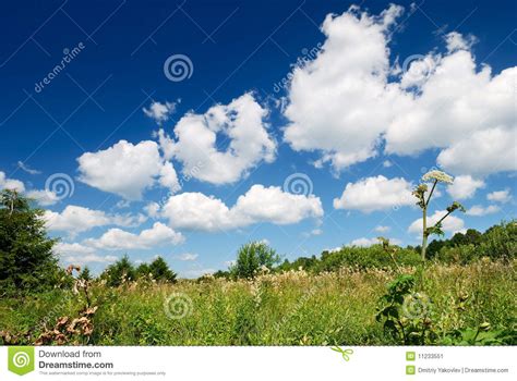 Landscape With Bright Blue Sky Stock Image Image Of Land