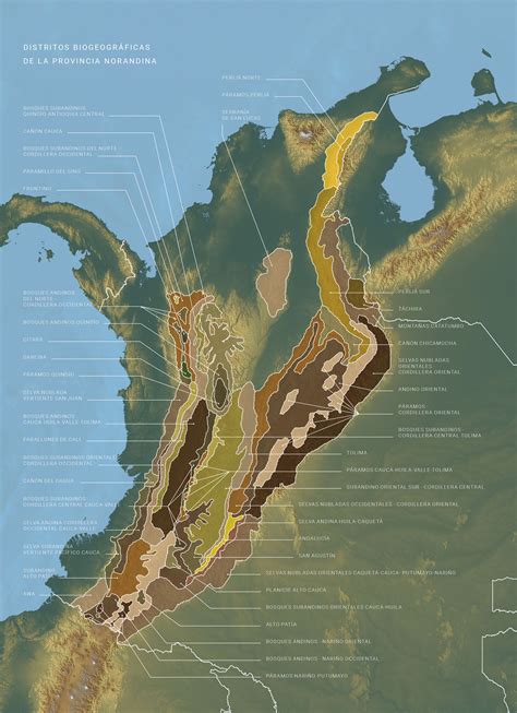 Region Andina De Colombia Colección Ecológica Banco De Occidente