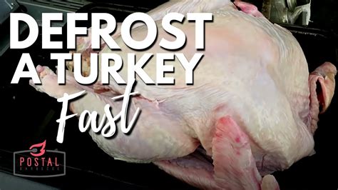 How To Thaw Turkey Fast Best Way To Defrost Turkey Quickly Youtube
