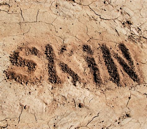 Skin Care Chronicle Seven Common Skin Conditions And Solutions