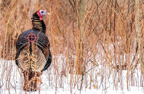 Hunting Turkeys With Handguns Guns Ammo Tips Pew Pew Tactical