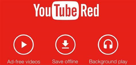 Youtube Launches Ad Free Subscription Service ‘youtube Red Zayzaycom