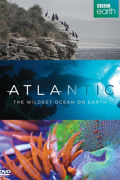 Atlantic The Wildest Ocean On Earth 2015 — The Movie Database Tmdb