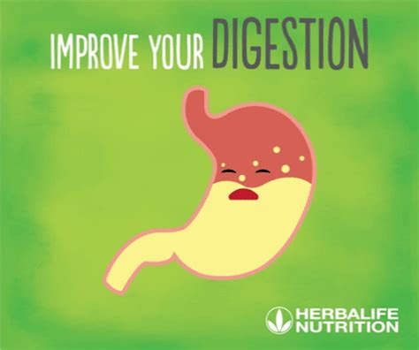 Healthy Digestion GIFs Get The Best GIF On GIPHY