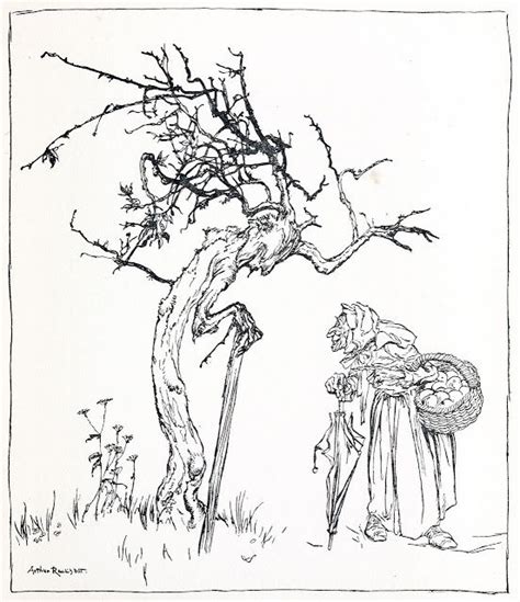 Arthur Rackham Part 8 Art Arthur Rackham Tree Illustration