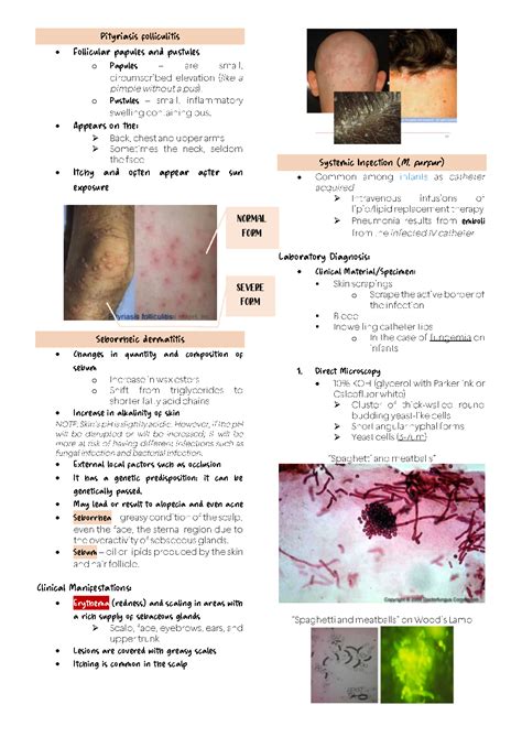 Solution Mycology Superficial Mycoses And Dermatophytes Studypool