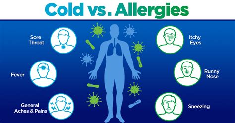 Do You Have Allergies Or A Cold Mercy Health Blog