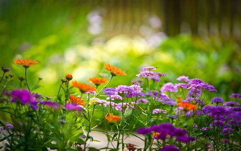 Choose from a curated selection of flower wallpapers for your mobile and desktop screens. Full HD Flowers Wallpapers - Wallpaper Cave